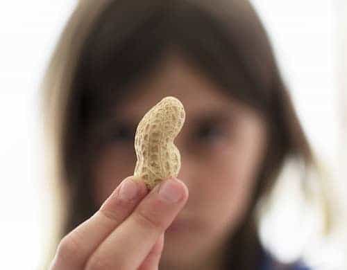 Girl holding peanut