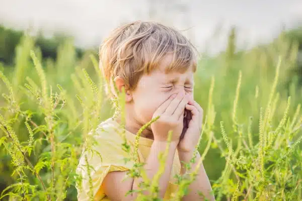 Boy sneezes because of an allergy to ragweed