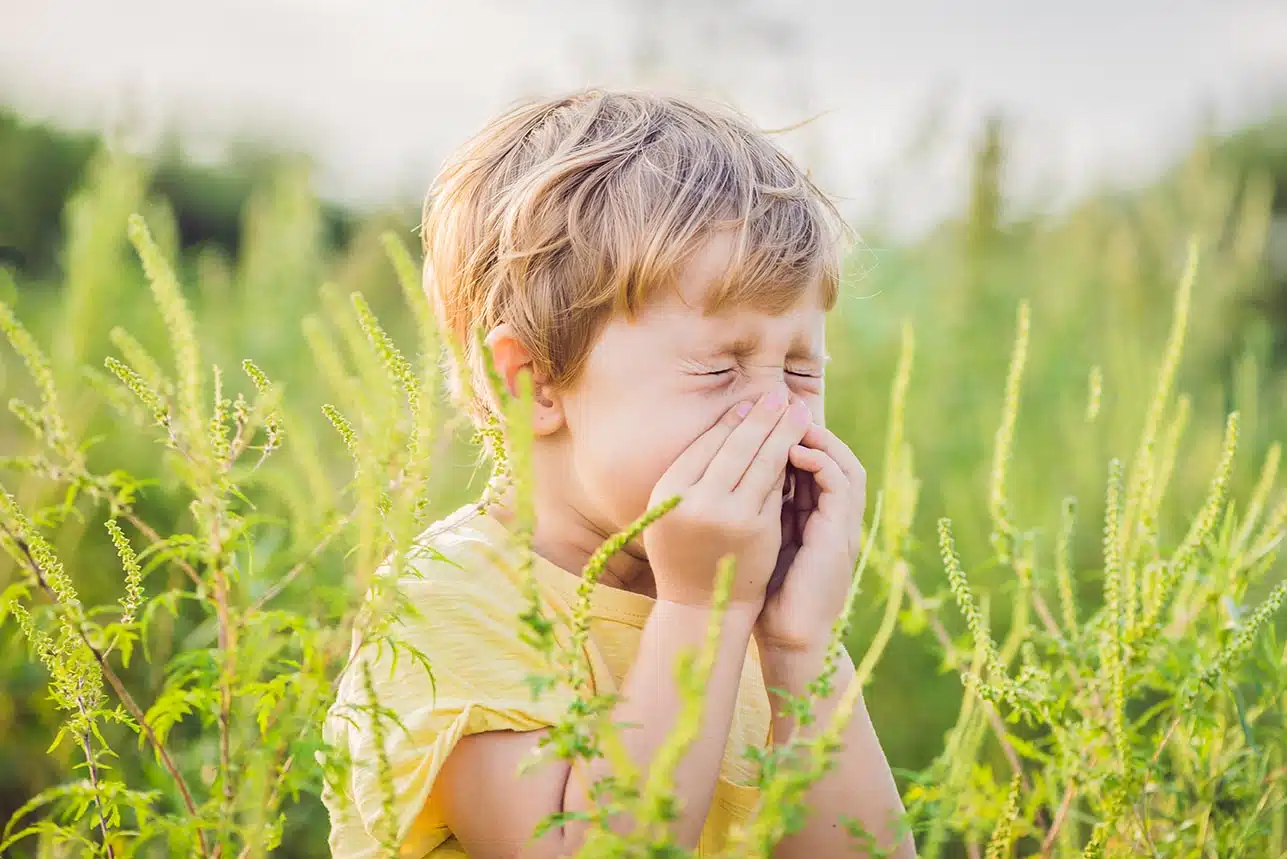 5 Ways to Protect Yourself From Bad Allergies