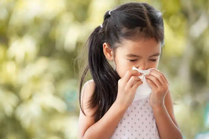 Asian little child with sinusitis girl wiping and cleaning nose with tissue in both hands