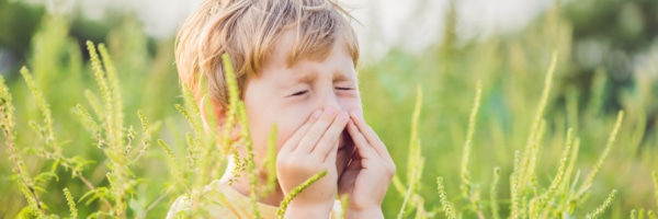 Allergist Gives Advice On Dealing with Ragweed Pollen Allergies