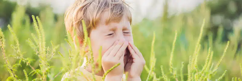 Allergist Gives Advice On Dealing with Ragweed Pollen Allergies