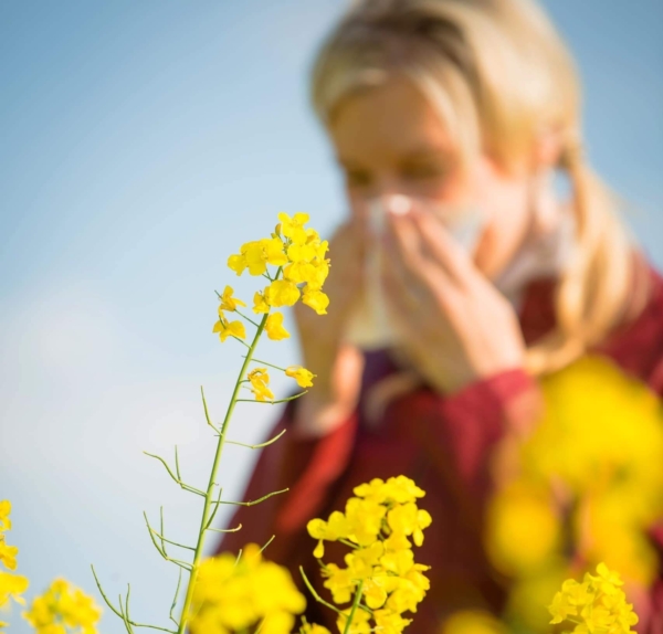 Yellow flower, behind it and blurred out a blonde woman blowing her nose into a tissue