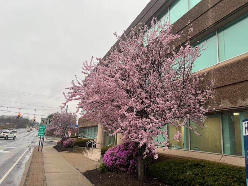 Exterior of Meriden clinic