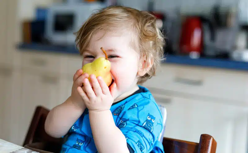 Cute adorable toddler girl eating fresh pear without food allergies thanks to oral immunotherapy
