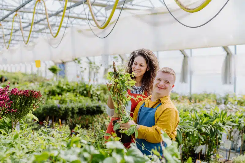 People working in garden nursery