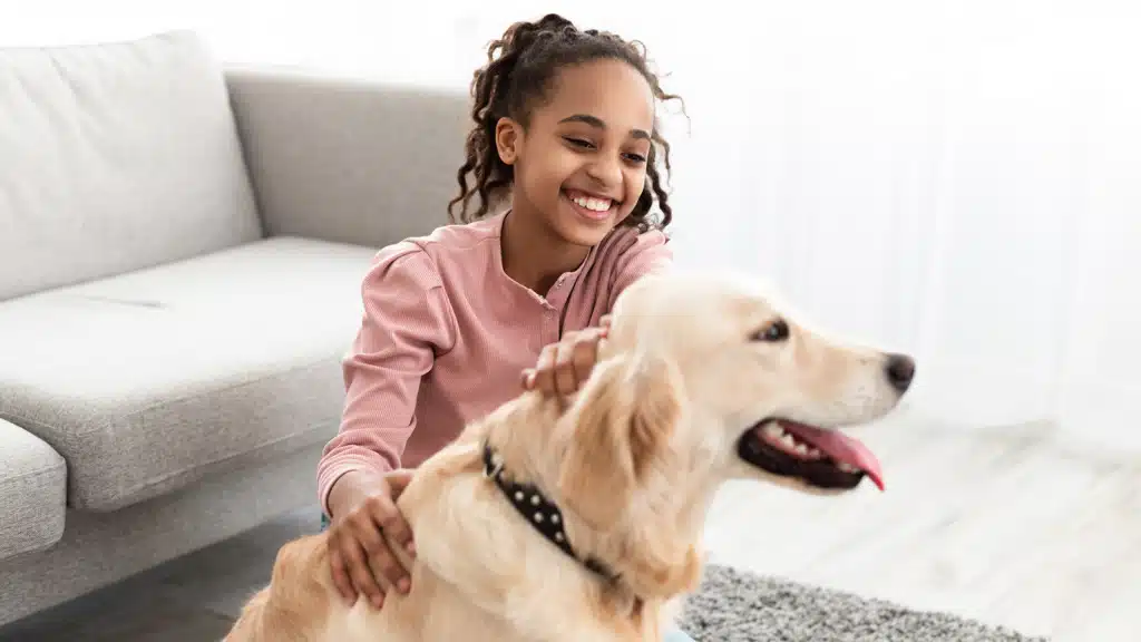 Girl petting a yellow labrador 