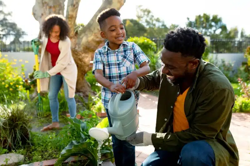 Little black boy gardening with his parents, watering the plants