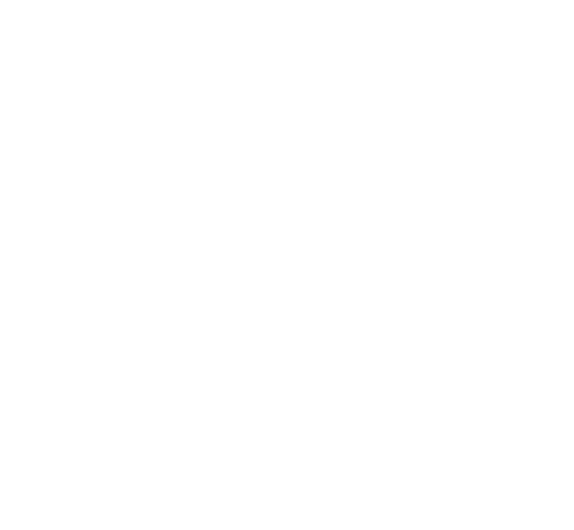 Florida Region Map Icon