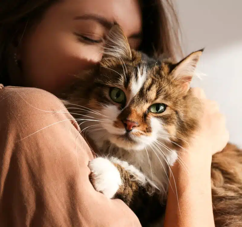 Woman hugging and kissing a cat