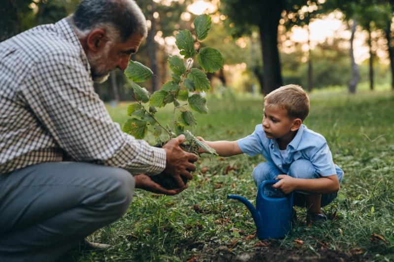 Grandfather and grandson enjoying time in public park, planting a plant