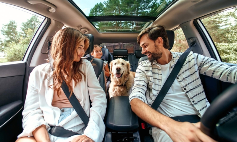 Mom and dad with their daughter and a Labrador dog are sitting in the car.