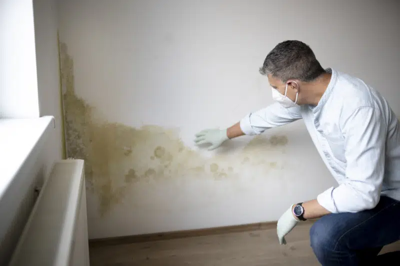 Man with mouth nose mask and blue shirt in front of wall with mold