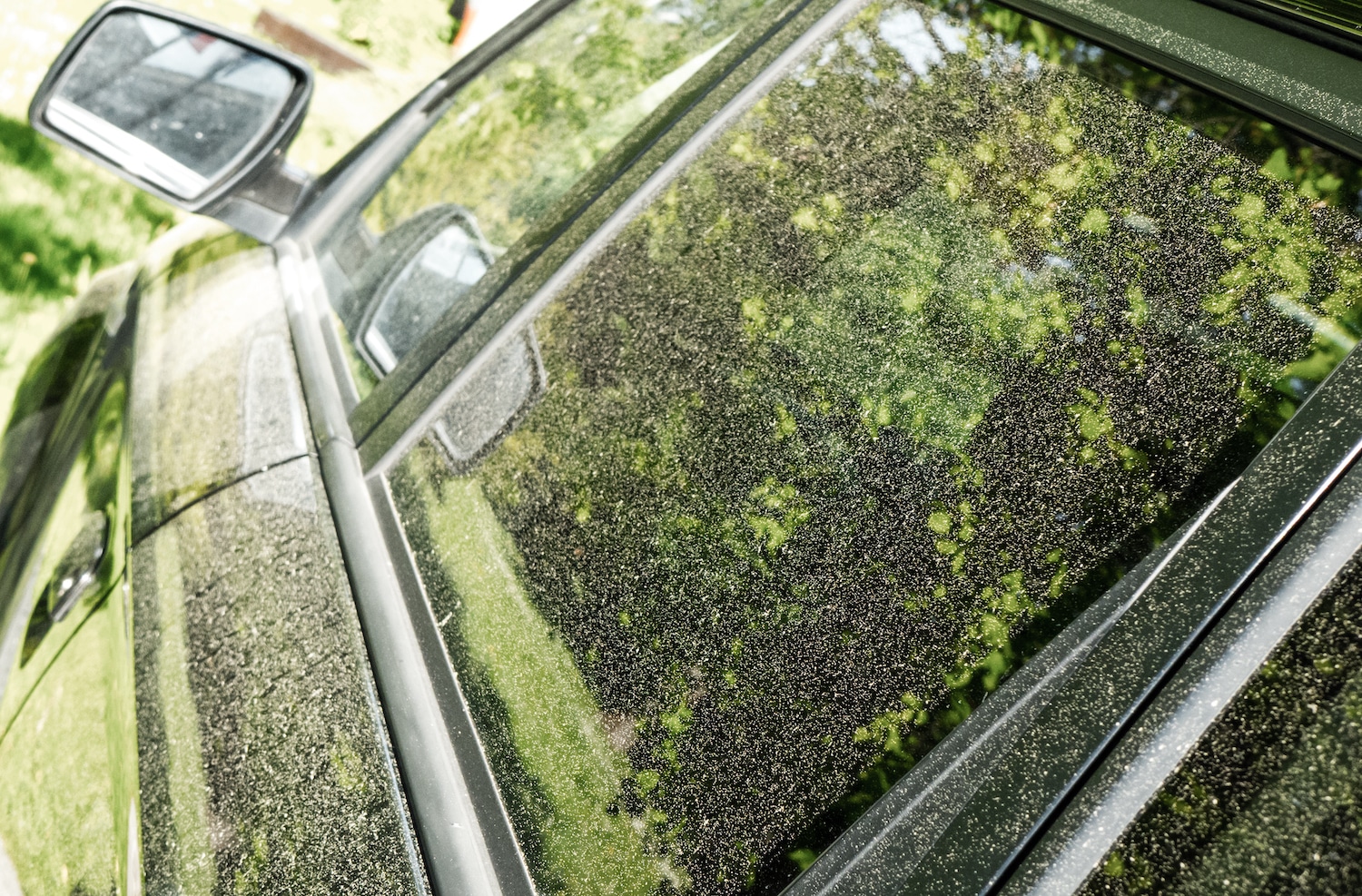 Allergies 101 What the Yellow Dust on Your Car Really Means