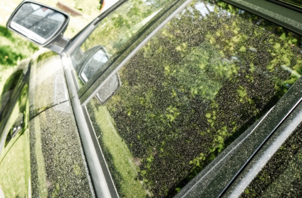 Yellow pollen on car