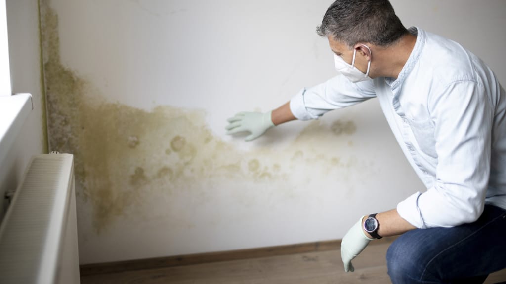 Man with mask and gloves checking a  white wall with mold