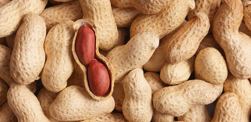 Patch for Peanut Allergies Offer Parents ‘Peace of Mind’