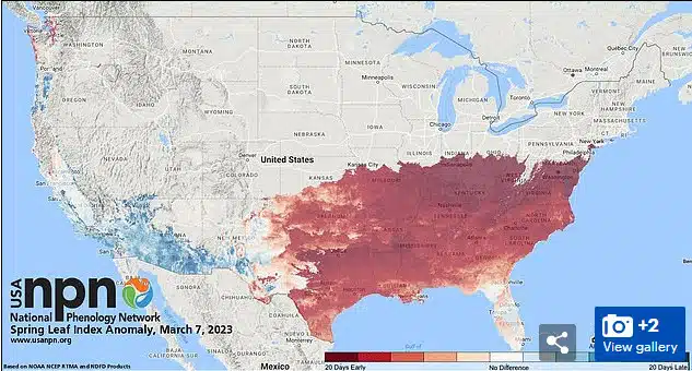 Allergy Season is Starting Earlier and Lasting Longer 