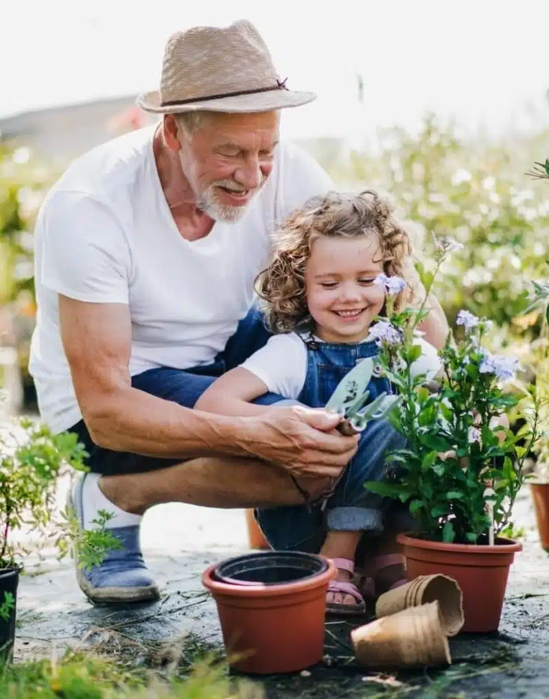 Small girl with senior grandfather in the backyard garden, gardening
